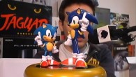 Sonic le Hérisson fête ses 20 ans en 2011 et SEGA a décidé de fêter l'occasion comme il se doit. Sonic Generations, jeu développé pour l'anniversaire de la mascotte, dispose en plus d'une édition collector riche en contenu.